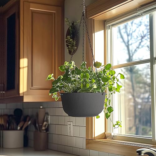 Miniatura 9 de T4U Macetas colgantes de 8 pulgadas para plantas de interior y exterior, paquete de 2 macetas colgantes con orificio de drenaje, tapón y cadena con