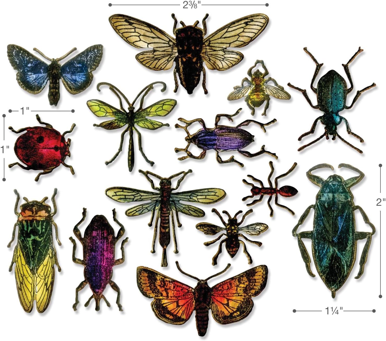 Sizzix Framelits Die Set Entomology by Tim Holtz (14-Pack), Multicolor