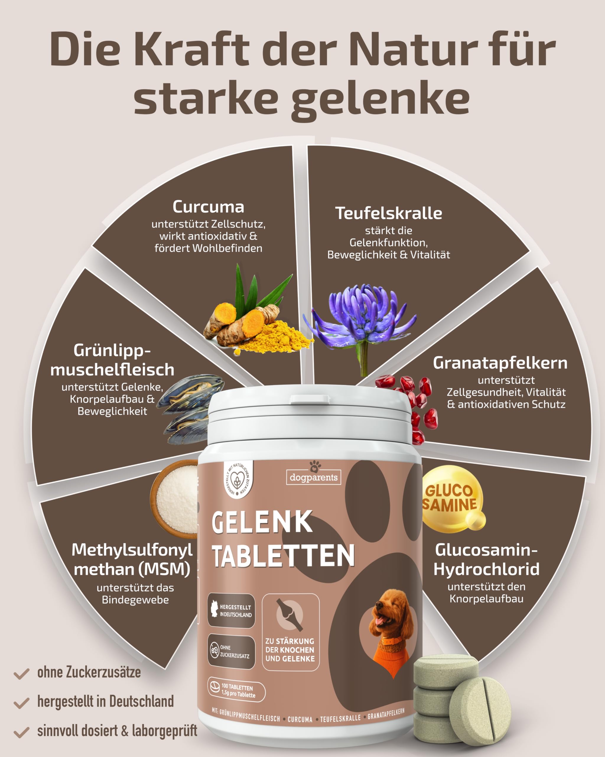 Gelenktabletten Hund [MADE IN GERMANY, ZUCKERFREI & LABORGEPRÜFT] Hochwirksame Formel mit Grünlippmuschel, MSM, Glucosamin, Curcuma, Granatapfel & Teufelskralle für Knochen & Gelenke (150g (1er Pack))