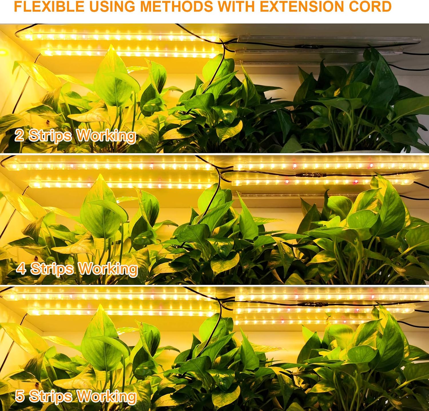 Relassy 50W LED Plant Grow Light Strips,5 pcs 16 Inches Full Spectrum Plant Lights for Indoor Plants with Auto ON/Off 3/6/12H Timer, 4 Dimmable Levels,Grow Lights for Seed Starting,Hydroponics