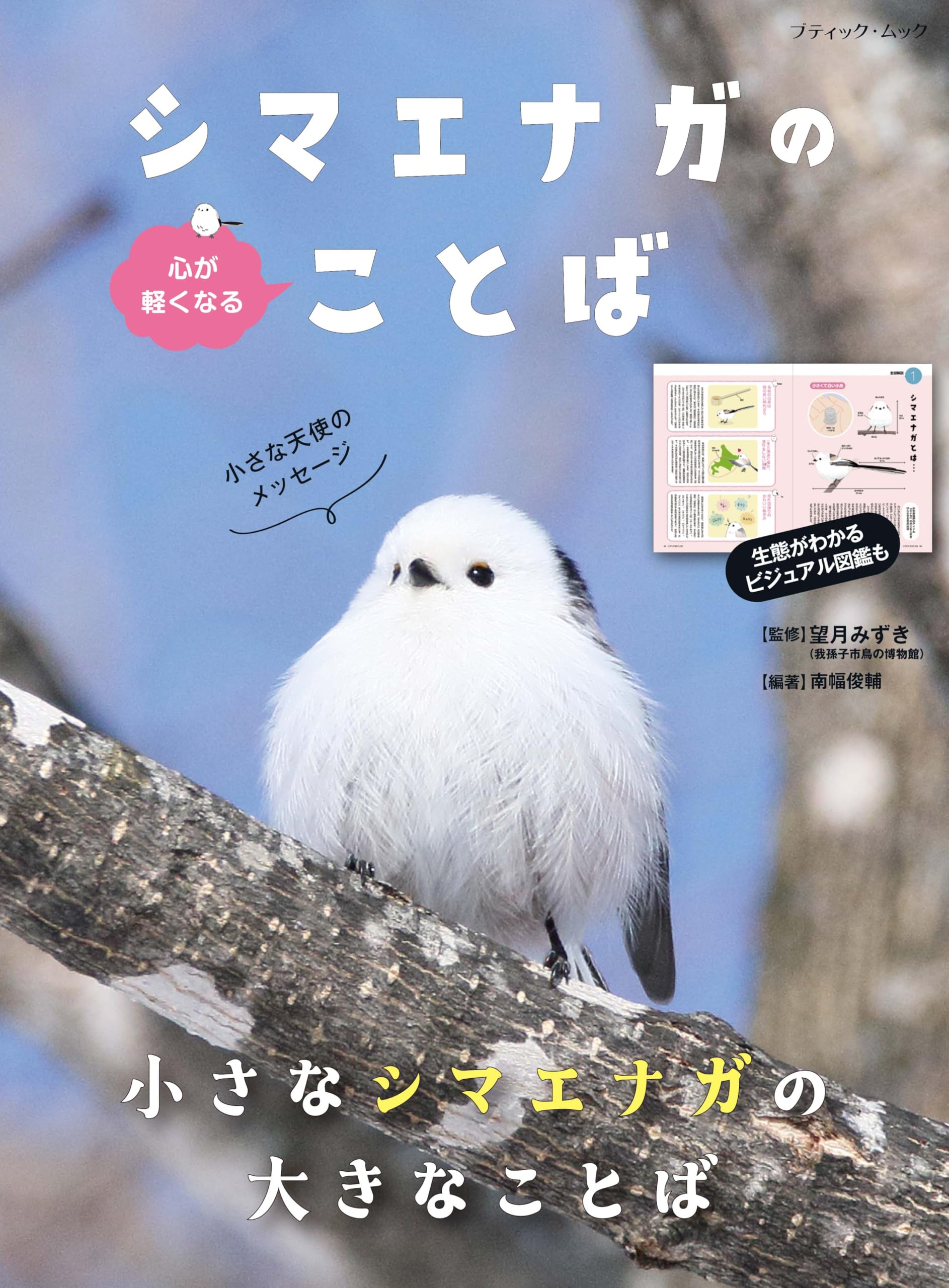 シマエナガ様　オーダーページ シマエナガ様 オーダーページ