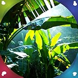  Fantastische Live Wallpaper, die Sie aufmuntern wird