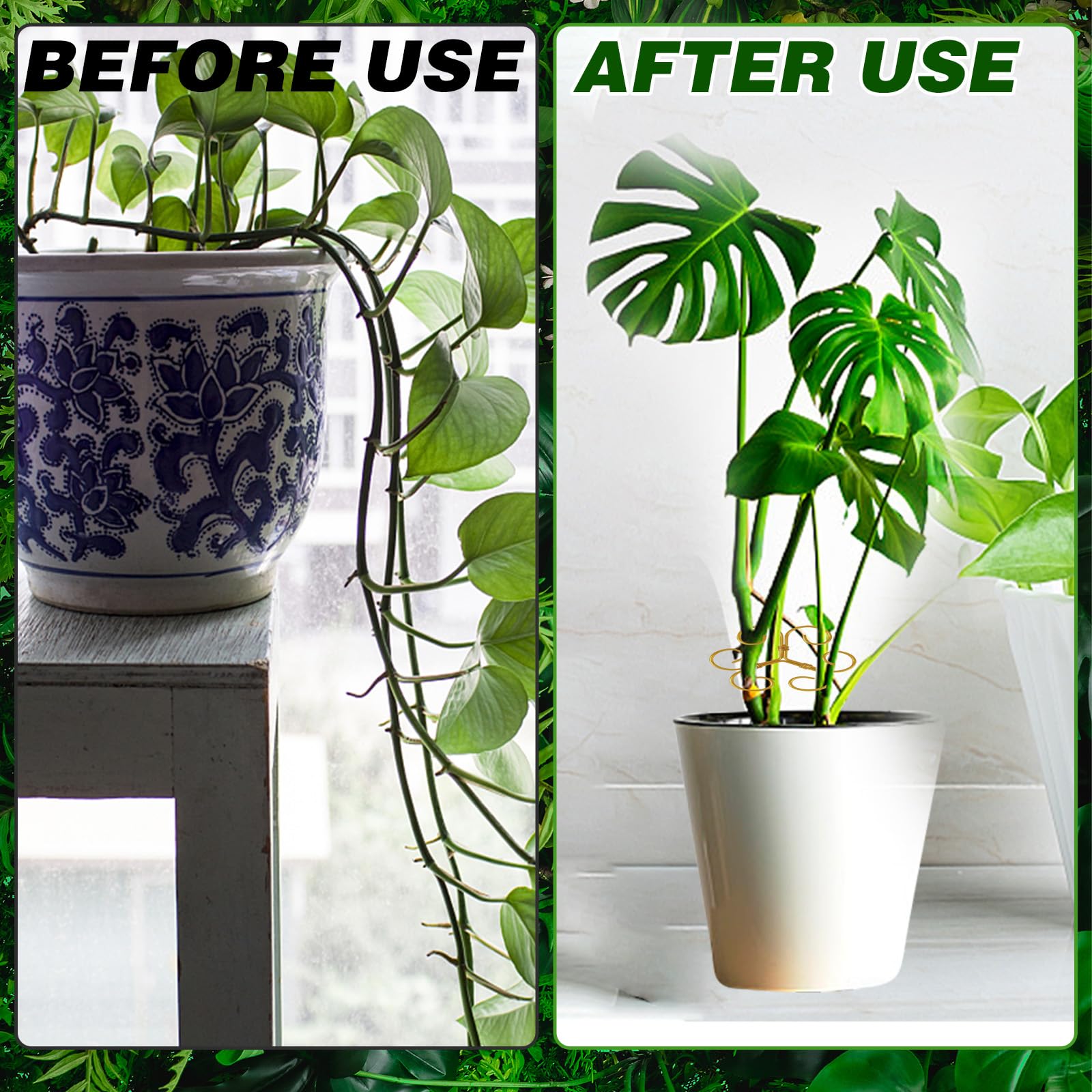 4-teiliger Pflanzenstamm-Sttzhalter aus Metall, Monstera-Stabilisator,  wiederverwendbares Gestell, Verschiedene Gren, Wachstumszubehr fr  Auen- und Innenpflanzen zum Klettern von Zimmerpflanzen : Amazon.de: Garten