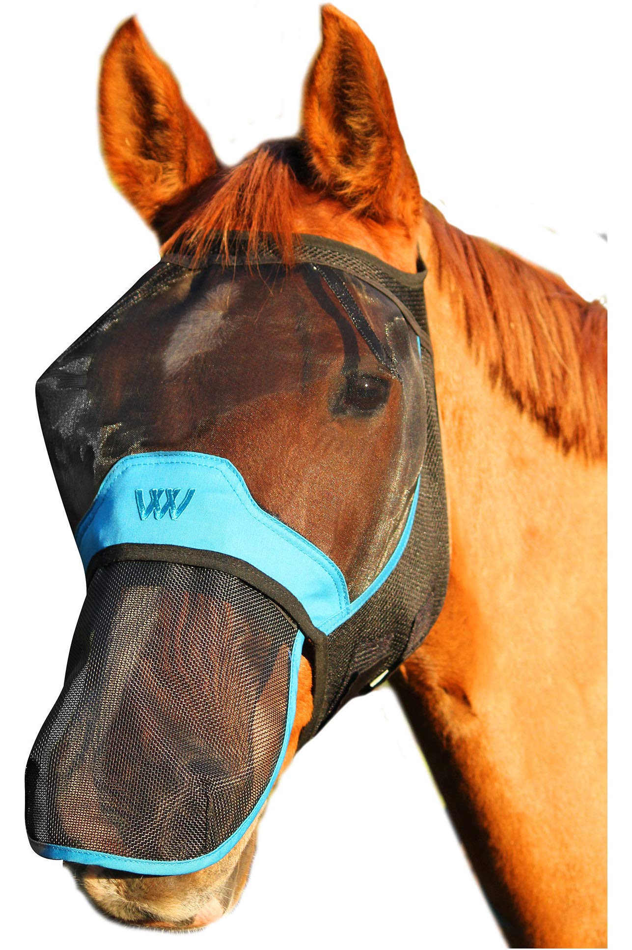 Woof Wear Nose Protector - Black Turquoise