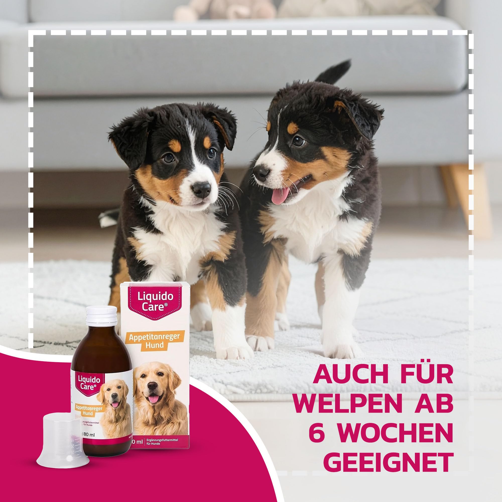 Liquidocare Appetitanreger Hund 180 ml – Hochkalorisches Tonikum mit Vitaminen & Mineralstoffen – für schlecht fressende, untergewichtige Hunde – schmackhaftes Ergänzungsfuttermittel