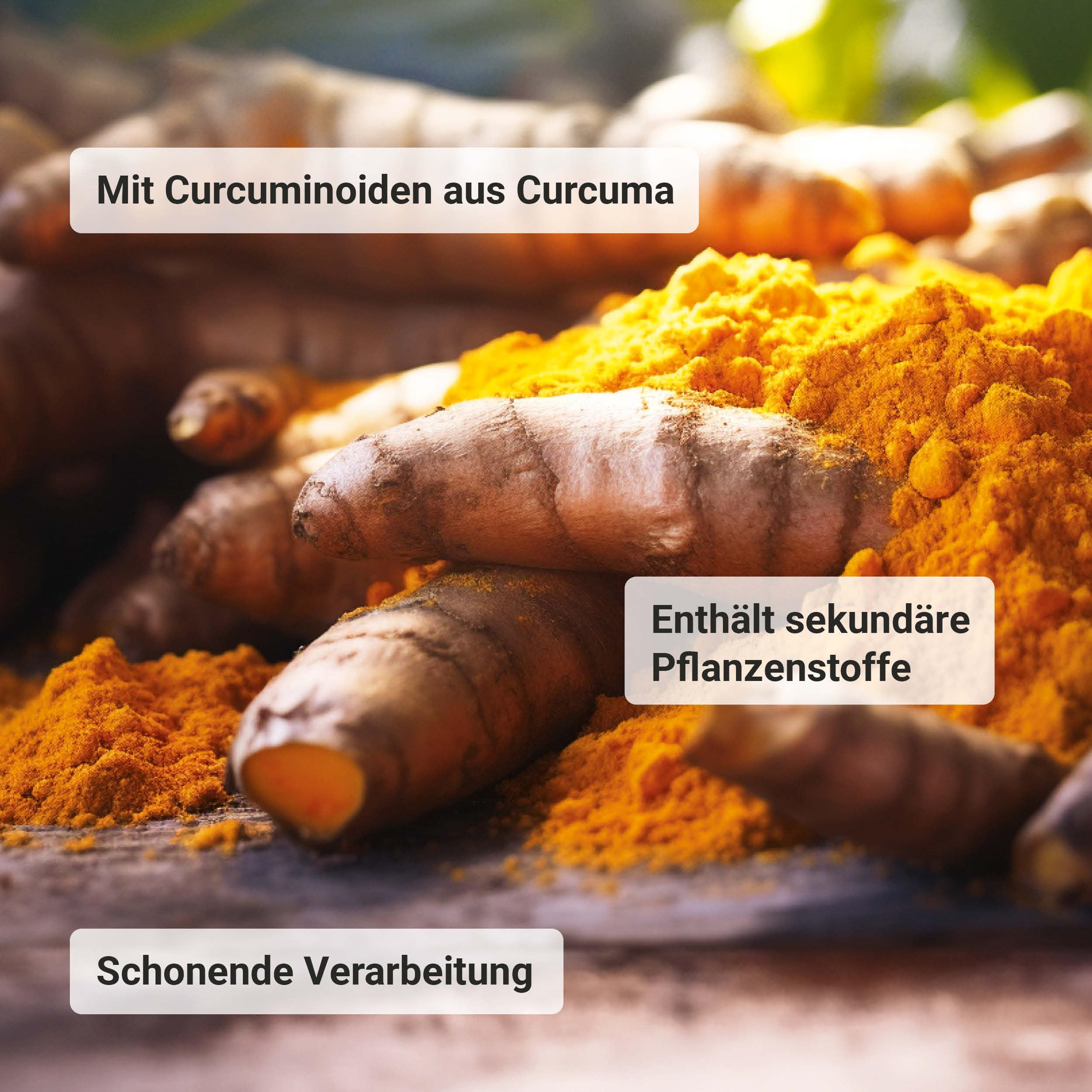 Raab Vitalfood® Bio Curcuma Extrakt Kapseln (90 Stück) - enthält Bio Curcuma Extrakt, Piperin und Curcuma Pulver, standardisierter Curcuminoidgehalt (150 mg pro 2 Kapseln), vegan, glutenfrei