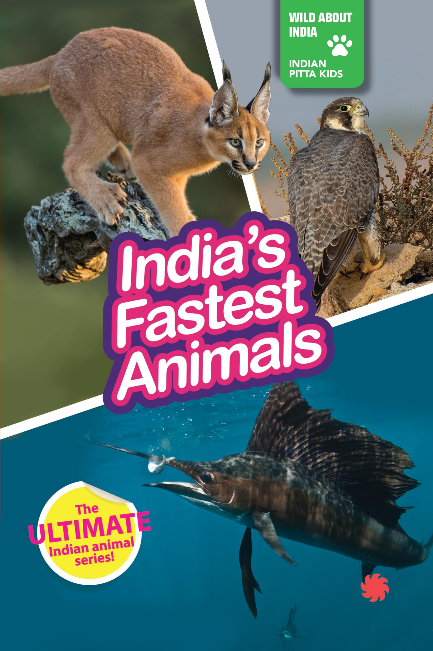 India's Fastest Animals (Wild About India)