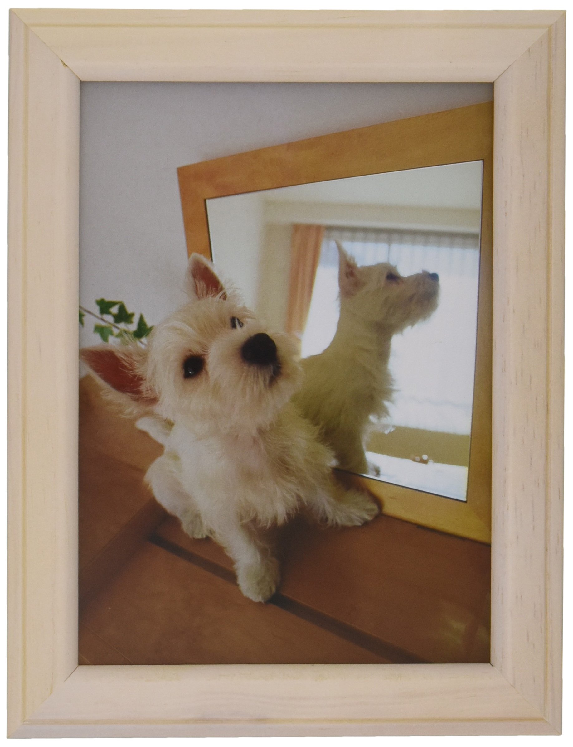 FUJICOLOR MT-K2 27541 Photo Frame, L/Postcard, 6.6 gal (2 L), Wood, White