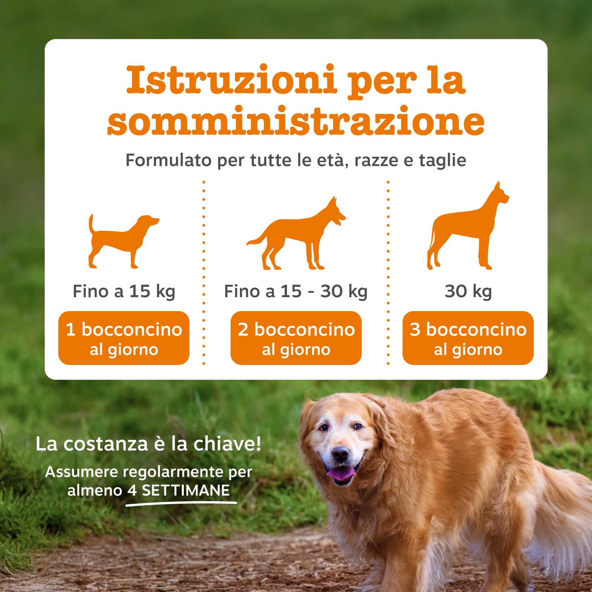 Zesty Paws Hip & Joint per Cani – Supporto Mobilità, Flessibilità Articolare, Articolazioni Rigide e Cartilagine – con Glucosamina, Condroitina e Cozza Verde – 90 Bocconcini