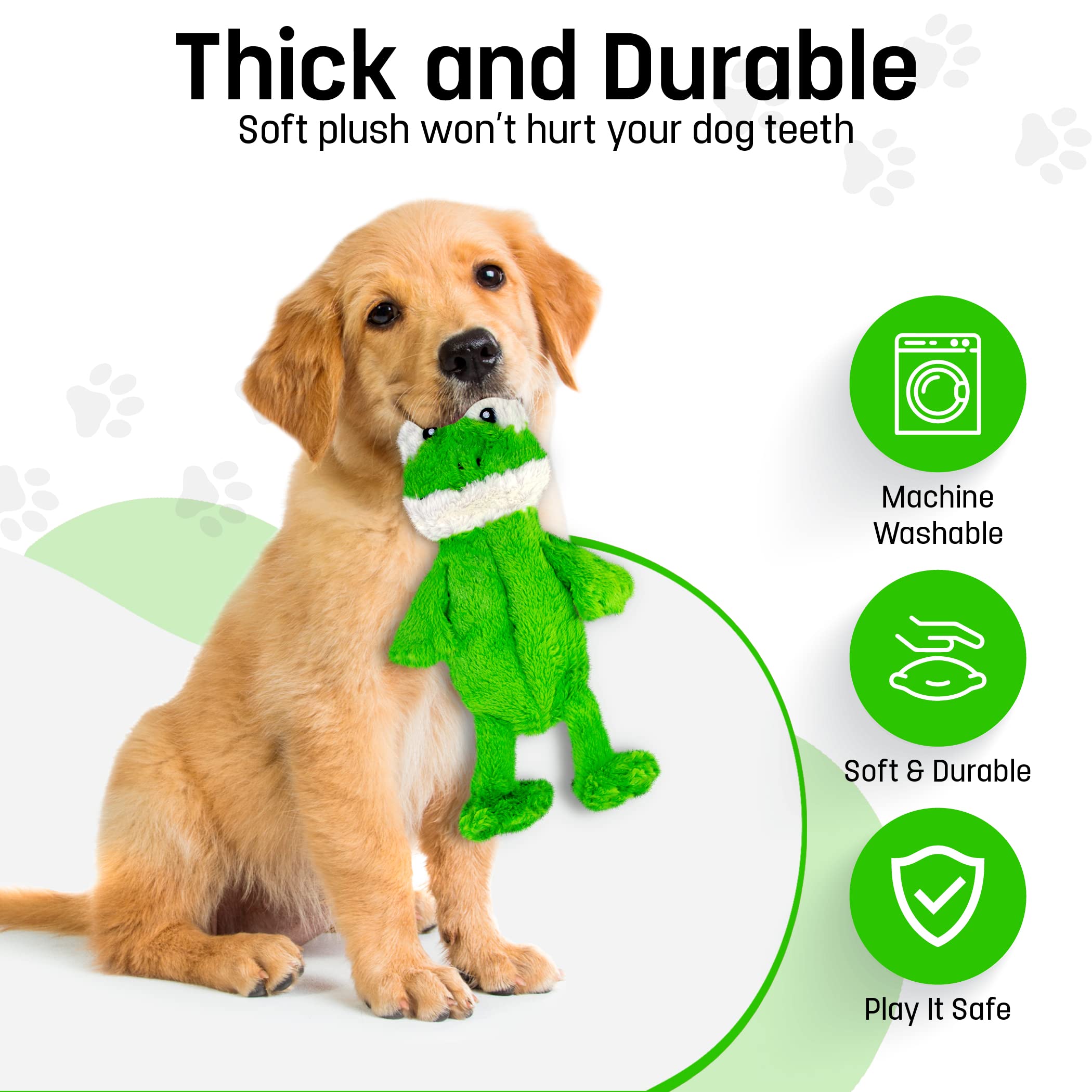 FGA MARKETPLACE Frog Flat NO Stuffing NO Squeak Plush Dog Toy - Image 2
