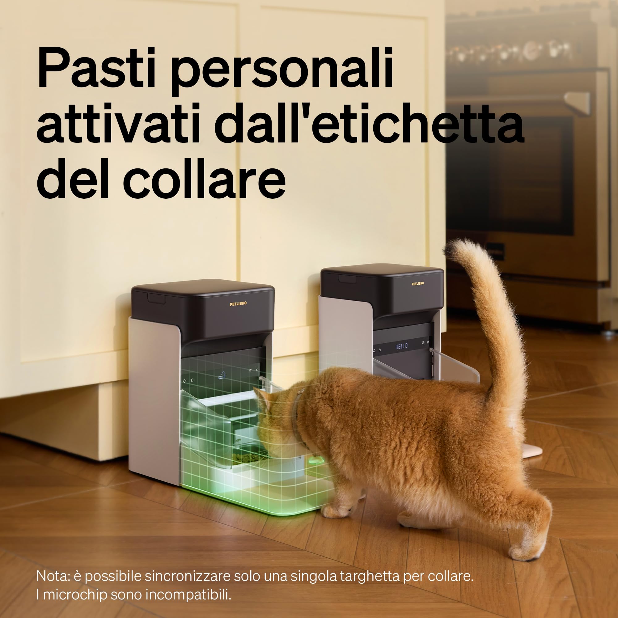 PETLIBRO Distributore automatico RFID per gatti, 5 G Wi-Fi, mangiatoia automatica con sensore Collar, mangiatoia per gatti con app per famiglie con più animali domestici, 1-10 pasti, 3 l