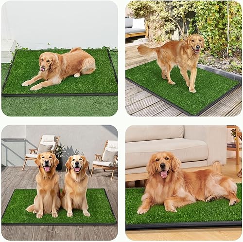 LOOBANI Large Dog Grass Pad with Tray - 35x23in Dog Litter Box with 2 Artificial Grass Patch + 2 Washable Pee Pads - Quickly Absorbency Indoor Outdoor Potty for Patio Balcony Apartment Use(45"×29" (3-Layer Potty System))