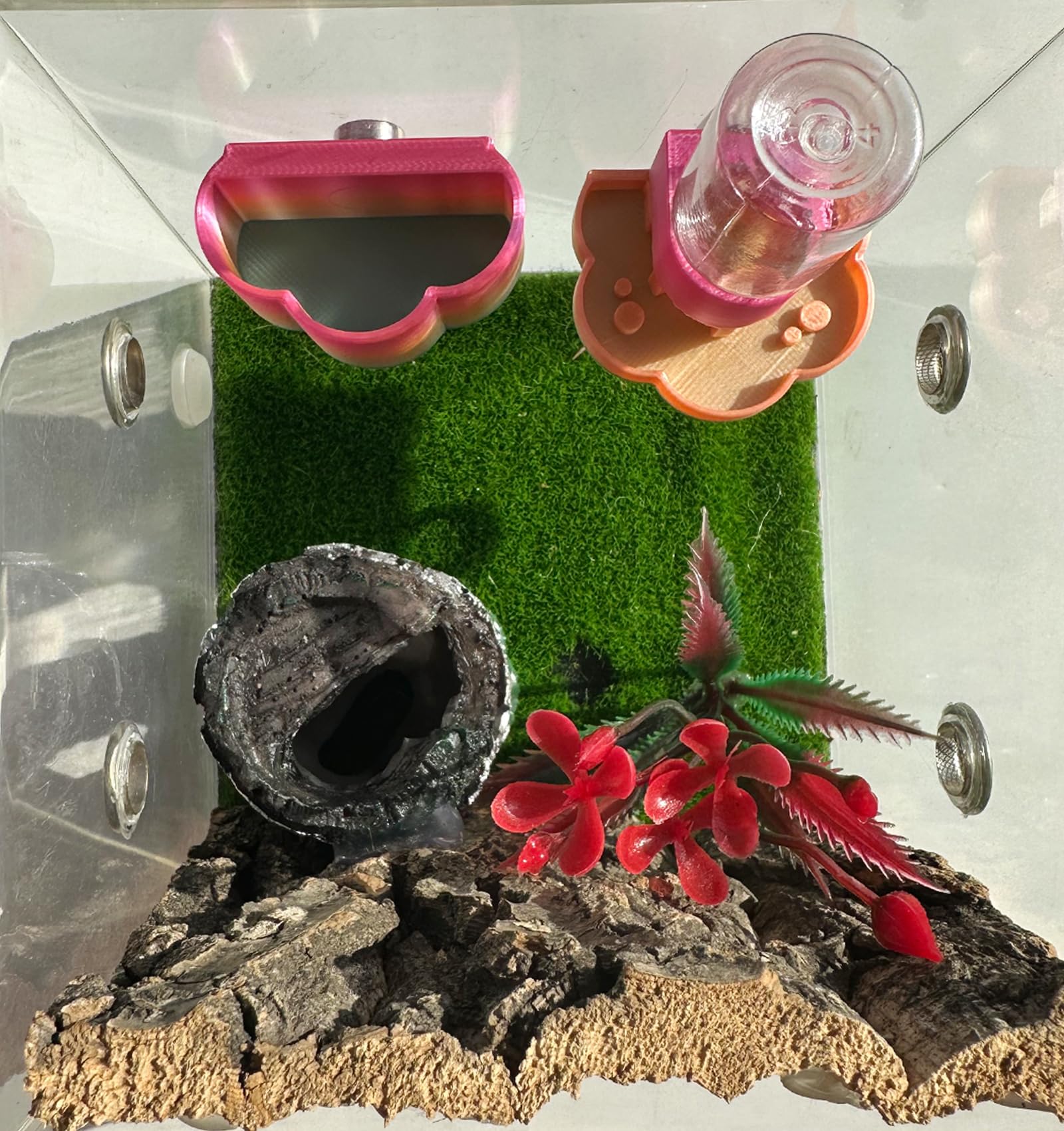 Heyshapeing Jumping Spider Kits, Magnetic Hanging Water Dispenser & Feeder Dish with Cleaning Brush & Tweezers, 8ml - Image 2