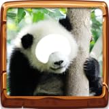Sélectionnez votre cadre de montage photo préféré et ajustez-y l'image