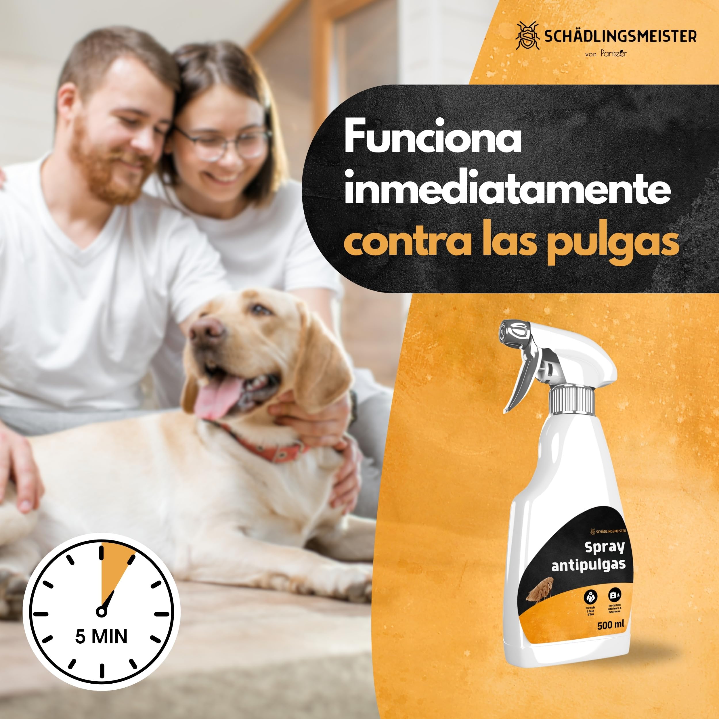Panteer ® Spray Antipulgas 500ml - contra Las pulgas en el hogar - Sin permetrina - Altamente eficaz Gracias al acetamiprid - Fabricado en Alemania