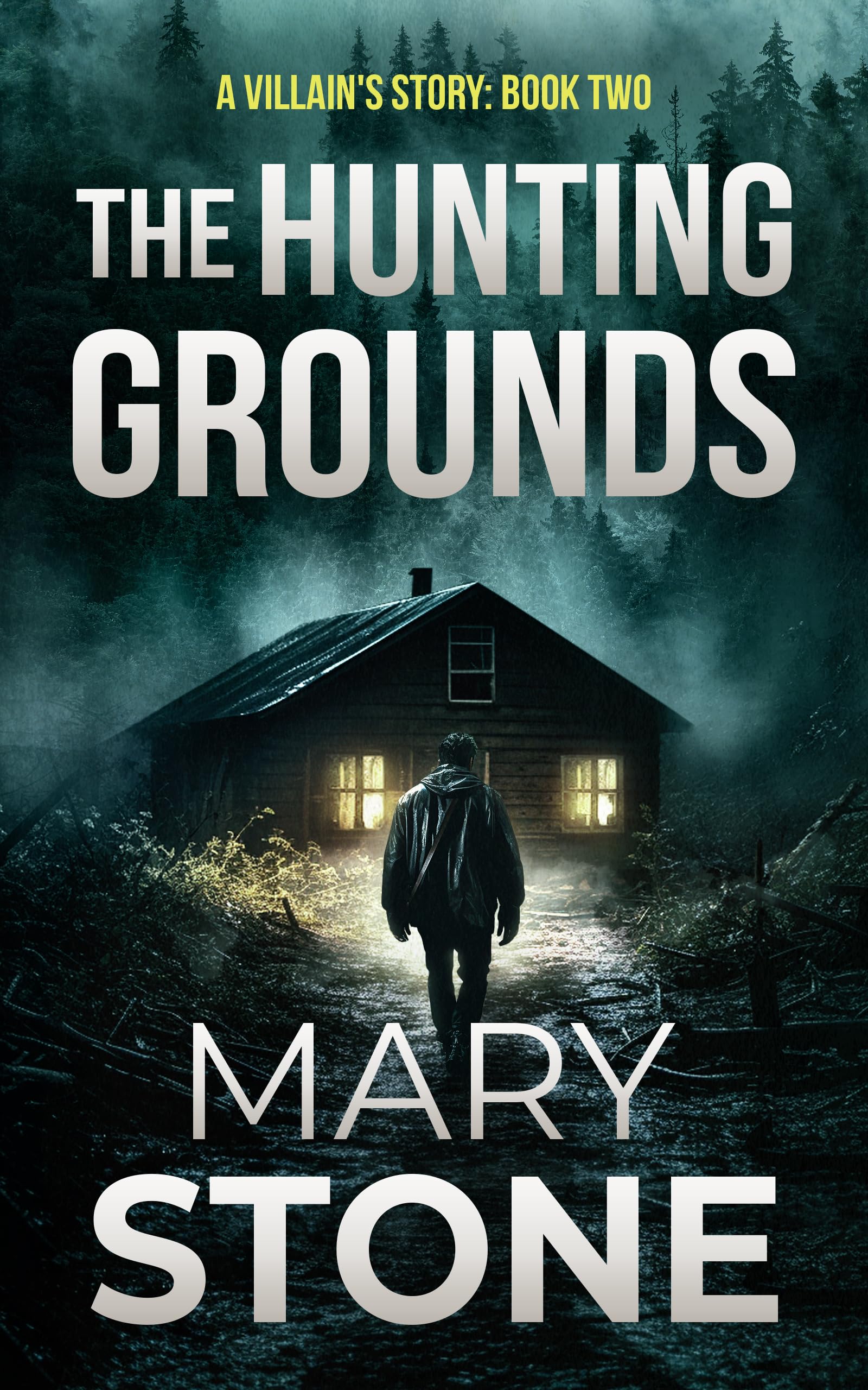 The Hunting Grounds (A Villain’s Story FBI Mystery Series Book 2)