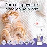 Ver la foto 2