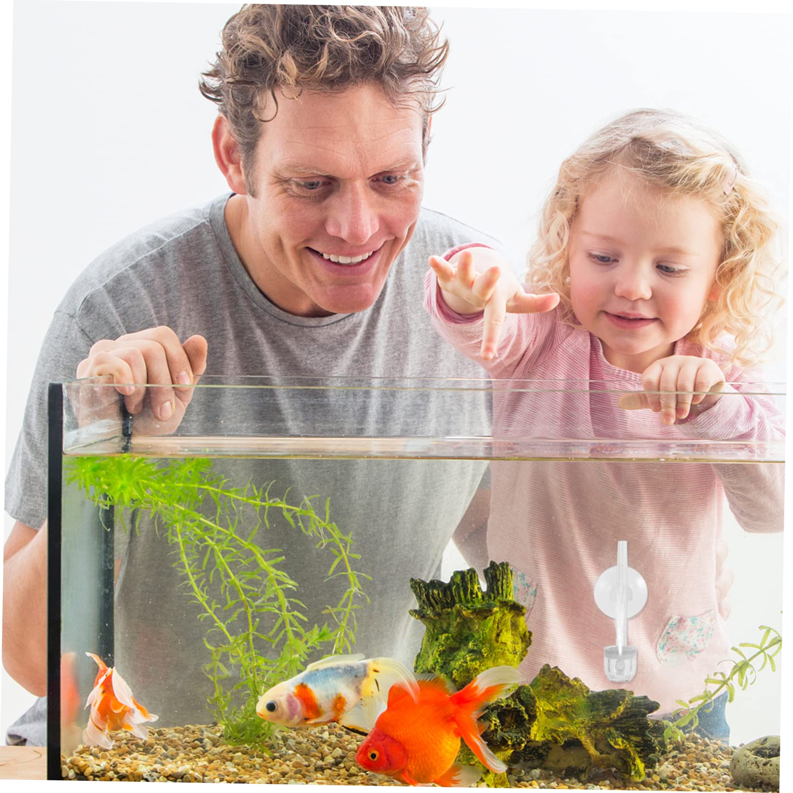 Housoutil 3stücke Aquarium Luftstein Sauerstoffdiffusor Für Fischbecken Bubbler Mit Feinen Blasen Erhöht Sauerstoffgehalt Und Sorgt Für Wasserzirkulation Für Aquarien Und Aquarienpflege