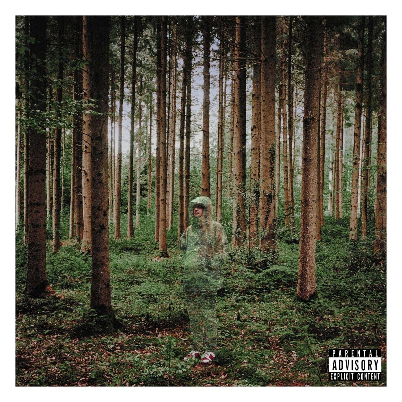 I Love You, I’m Trying [VINYL]