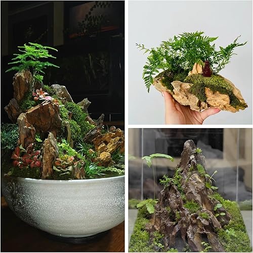 Miniatura 7 de Rocas naturales para acuario de 2 a 4 pulgadas, roca de dragón para acuarios, modelo de paisajismo, decoración de tanques, recintos de anfibios,