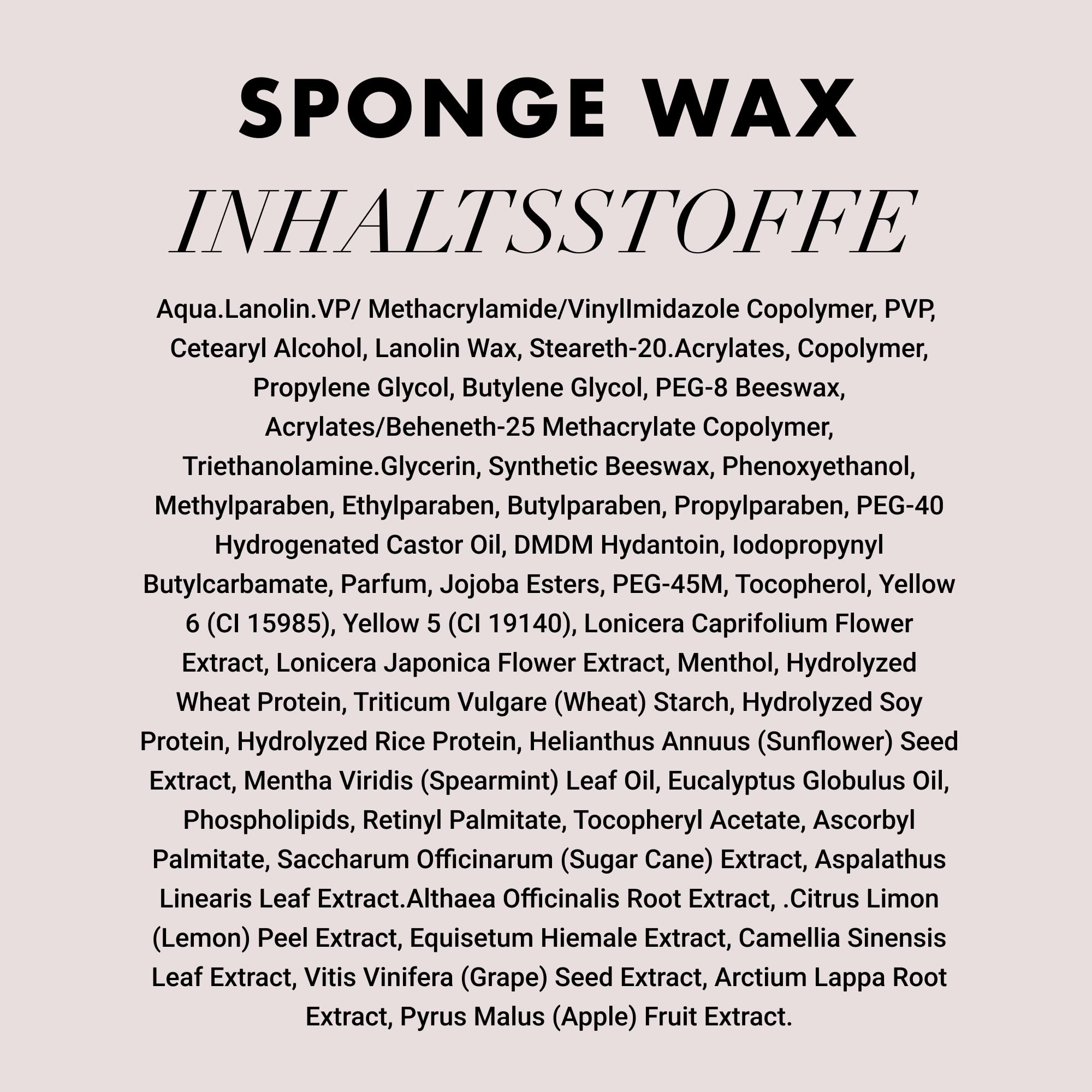 Hanz de Fuko Sponge Wax – Premium Styling-Paste für Männer – mittlerer Halt, mattes Finish – zertifizierte Bio-Inhaltsstoffe – 56 g
