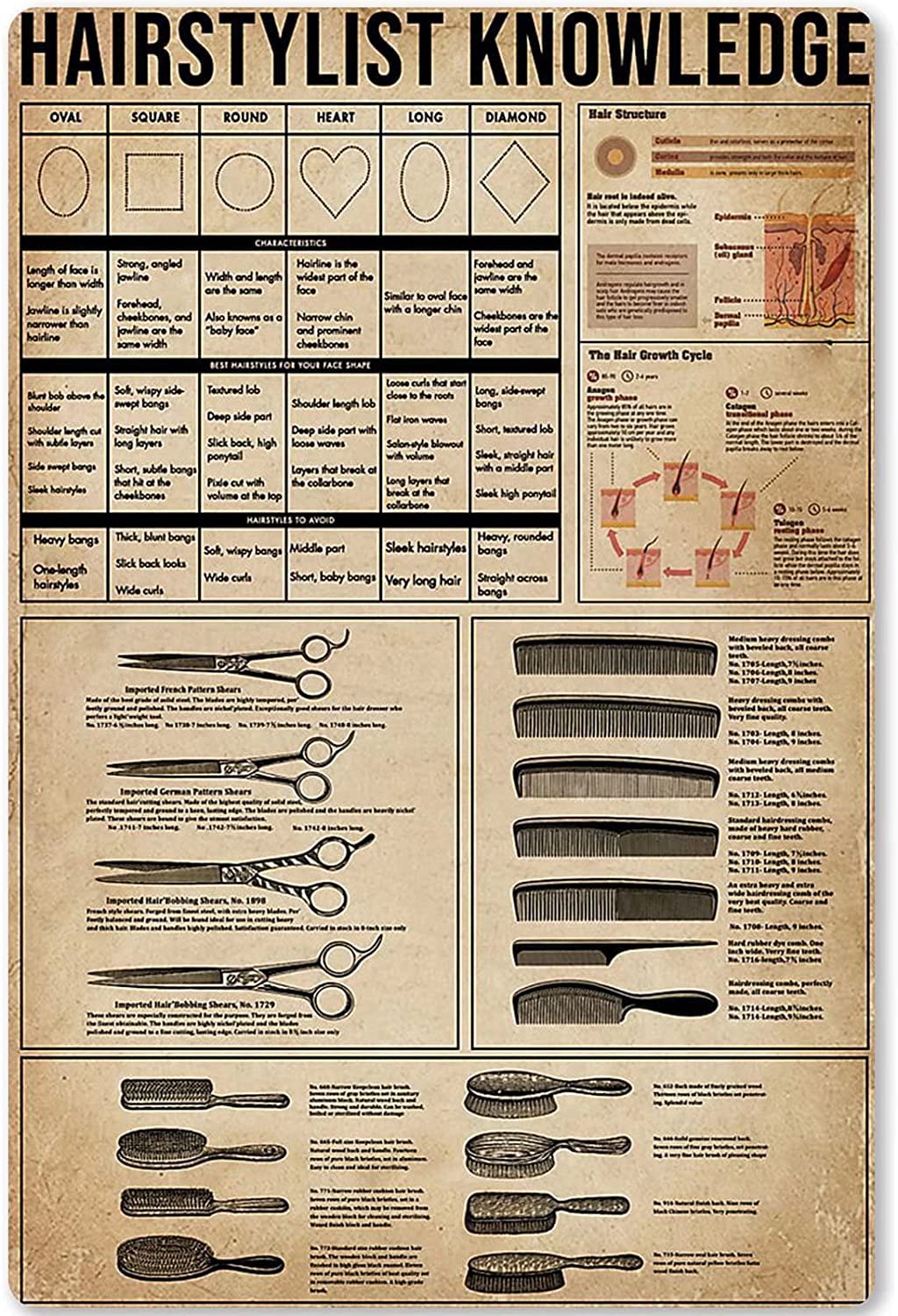Hairstylist Knowledge Metal Tin Sign Vintage Hairdresser Information Infographic Retro Poster Barber Shop Bar Home Office Wall Art Decor Plaque 8x12 Inches