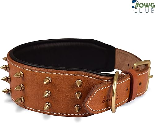 Miniatura 8 de DowgClub  Collar de perro con pinchos de cuero genuino, grano completo, resistente, cómodo, fuerte, mejor para razas medianas, grandes, XL  2