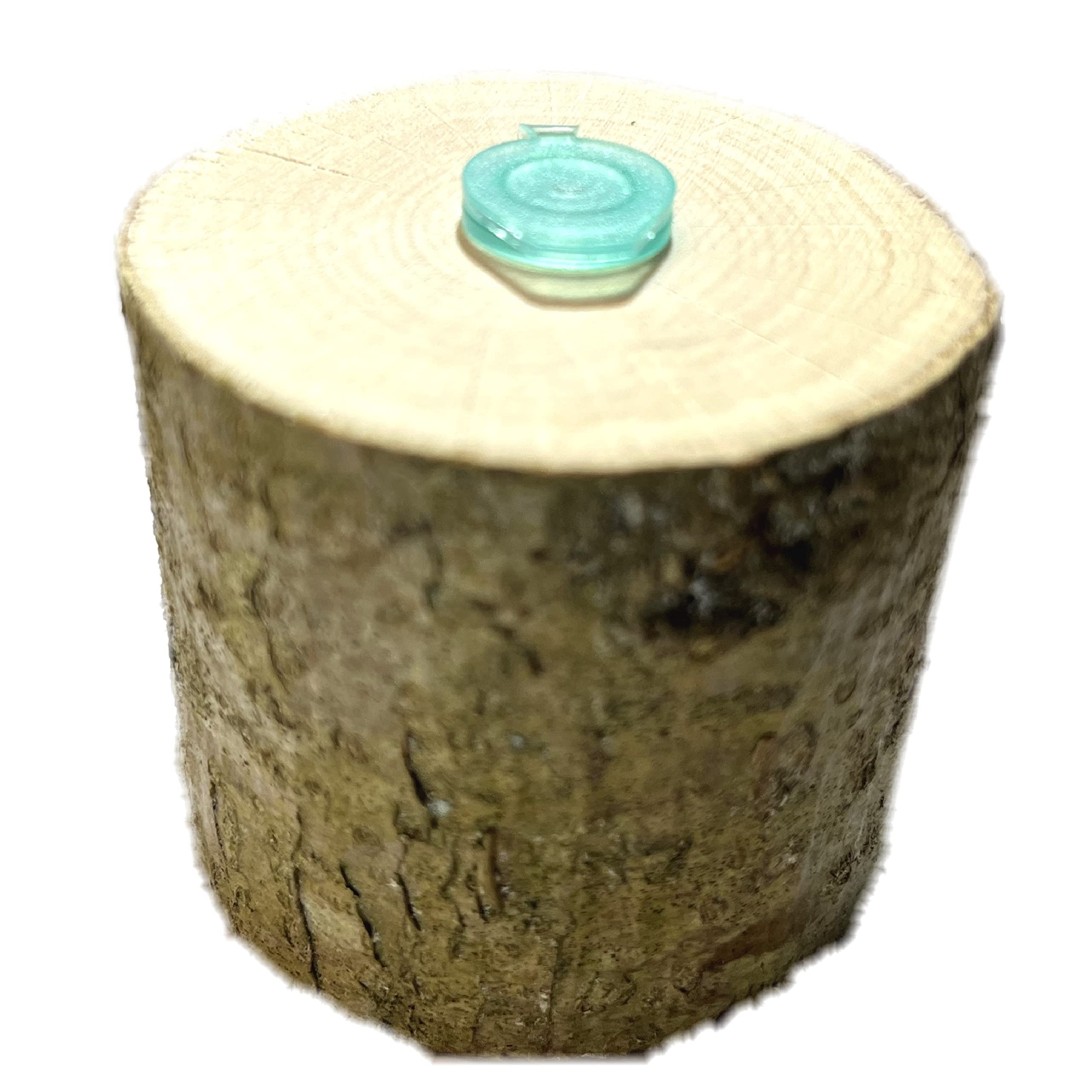 AllCachedUp Real Silver Birch Wood Log Geocache Container Sneaky Hide - 5cm x 5cm