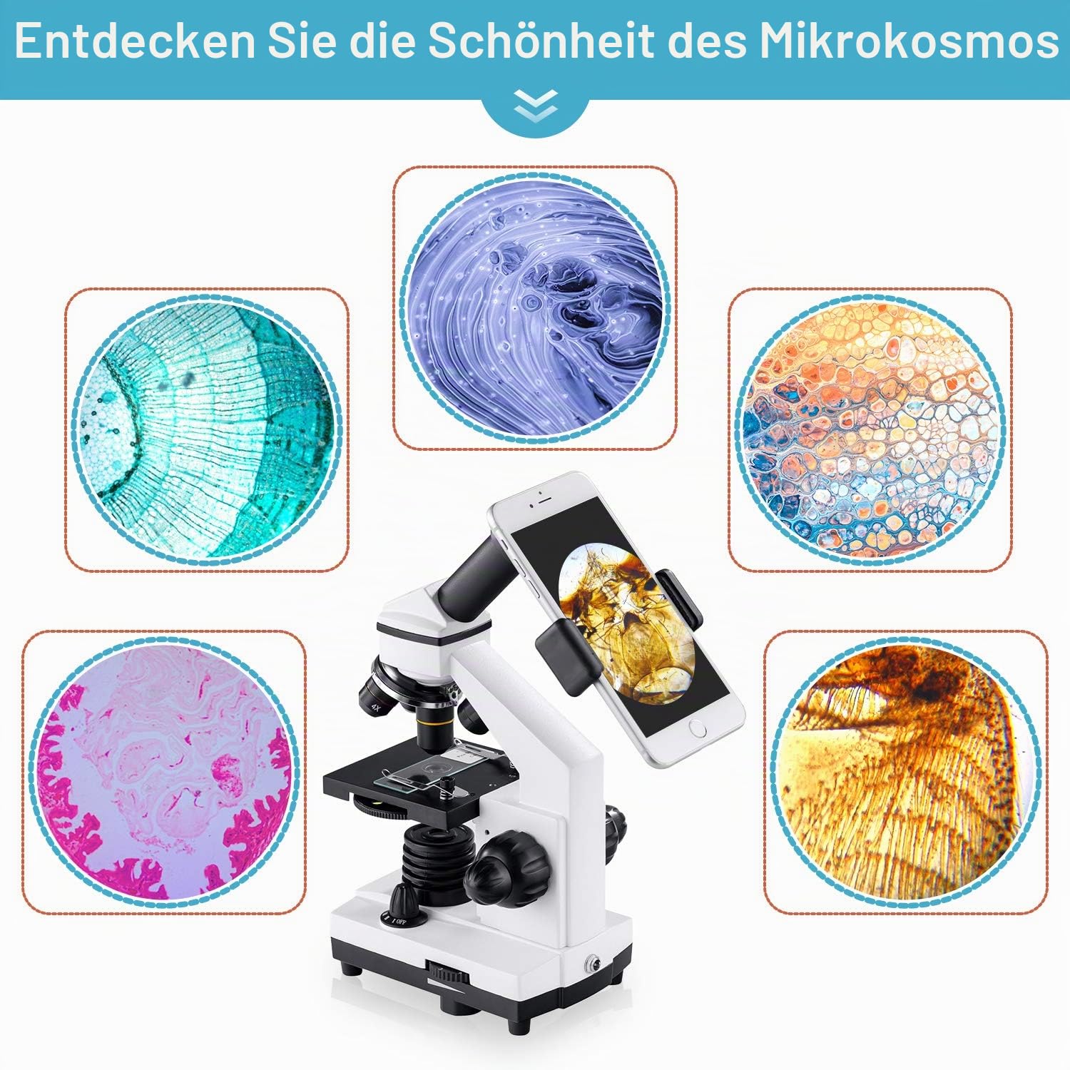 BEBANG 100X-2000X Mikroskop für Kinder Erwachsene, Professionelle Biologische Mikroskope für Studenten Schullabor Zuhause