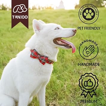 Tunkoo Christmas Dog Collar & Leash Bundle, S