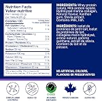 LEANFIT ISOLATED SPORT PROTEIN & MARINE COLLAGEN, natural vanilla, protein isolate from grass-fed cows and 100% hydrolyzed marine collagen powder (Type I, III), 30g protein and 10g collagen per serving, 24 servings, 838g tub