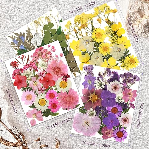 Miniatura 2 de 104 flores secas prensadas naturales de resina, flores secas para accesorios de resina, flores secas para álbumes de recortes, manualidades, moldes