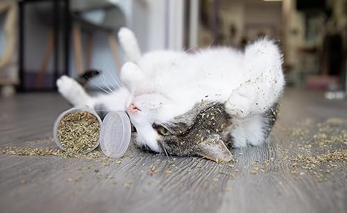 Miniatura 10 de 1.5 tazas de hierba gatera de súper alta potencia con bola de juguete mullida, cultivada en Estados Unidos (2.5 tazas)