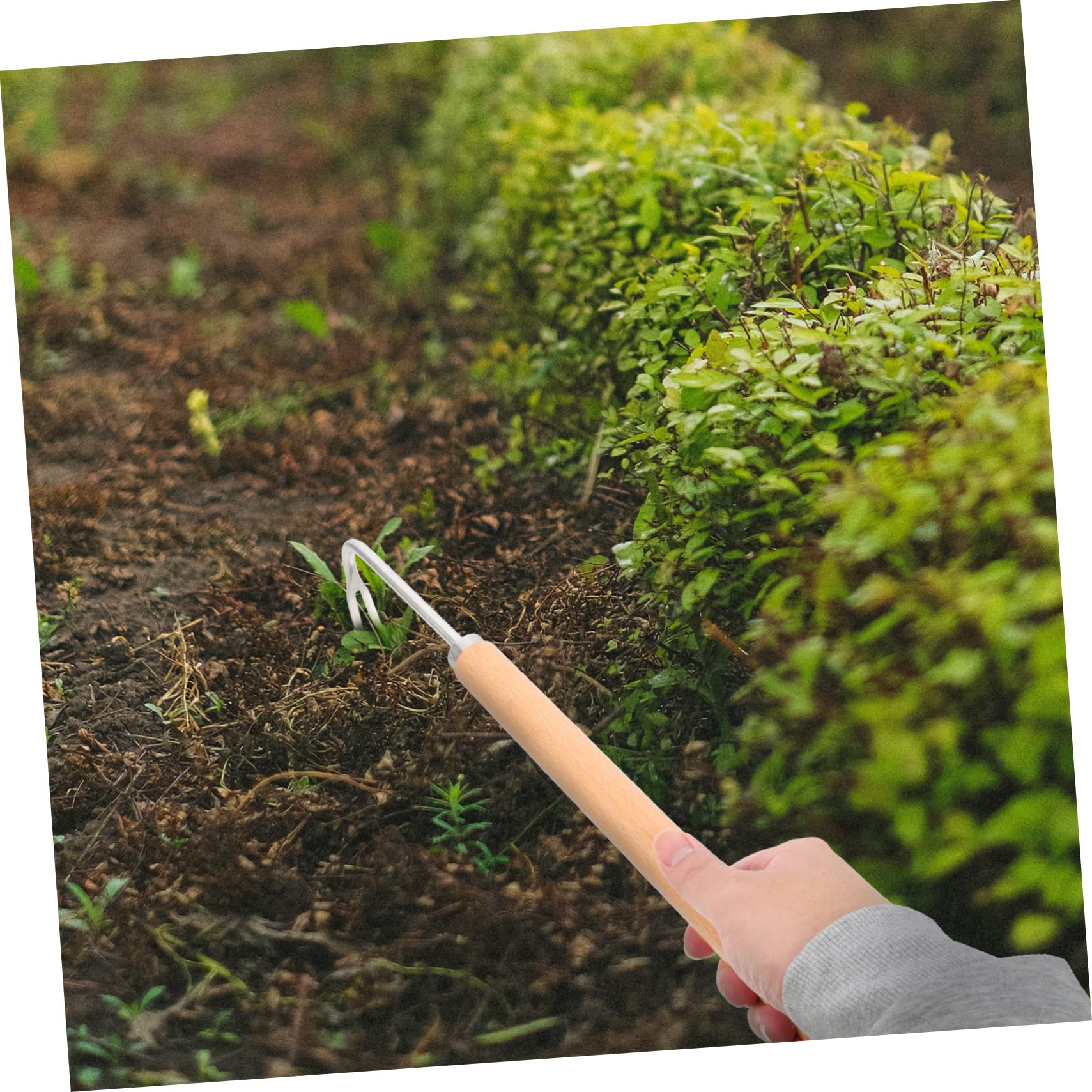 TOYANDONA 3 Stück Handwerkzeug für Garten Multifunktionaler Unkrautstecher mit Ergonomischem Buchenholzgriff für Entfernen von und Wurzeln Schwerem Boden