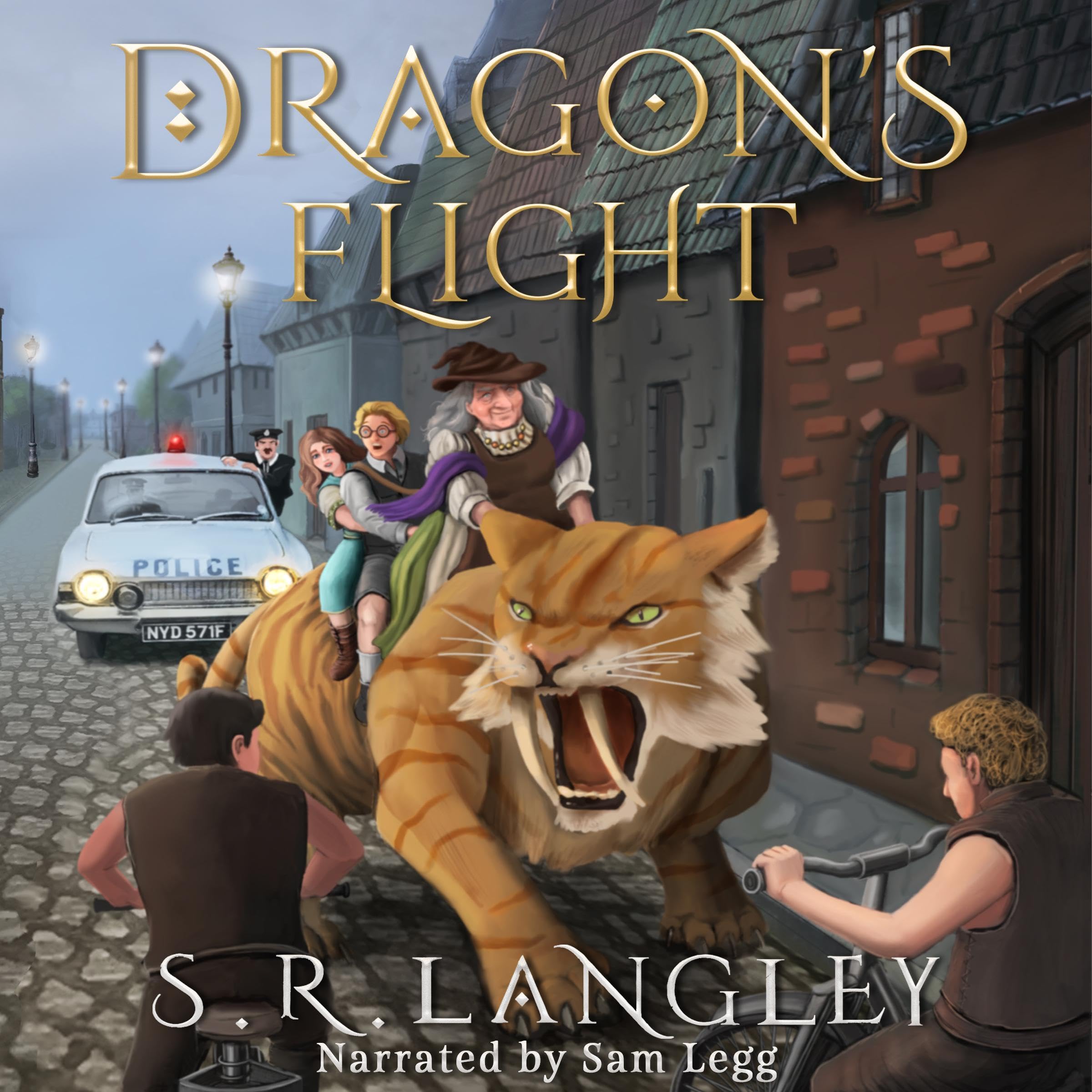 Cover art for Dragon's Flight
