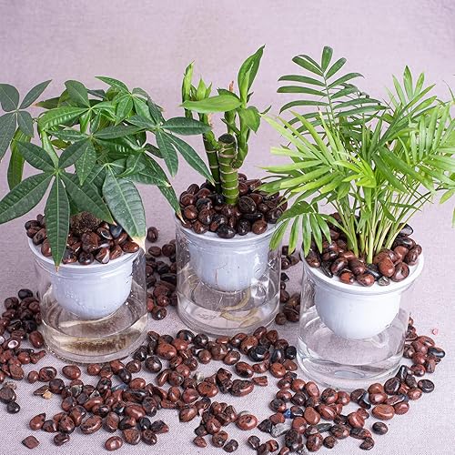 Vista 222 de Juego de piedras pulidas para chakras de 0.6 pulgadas, 7 piezas de piedras pulidas naturales y cristales a granel para curación, reiki, meditación