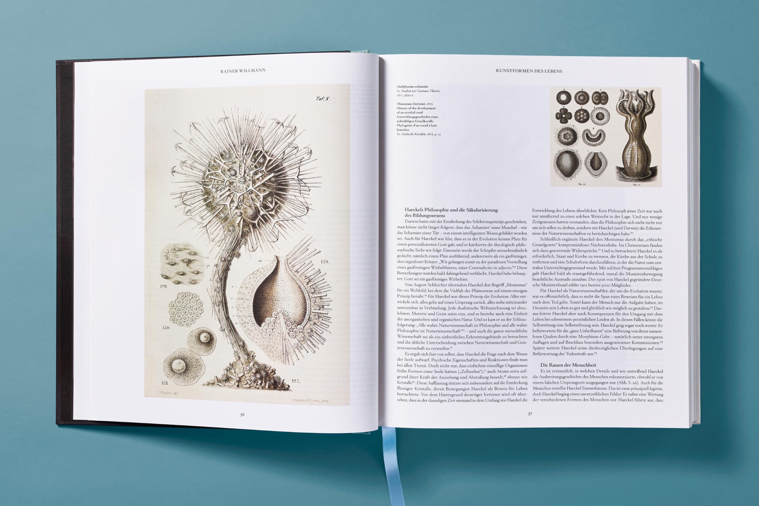 The Art and Science of Ernst Haeckel