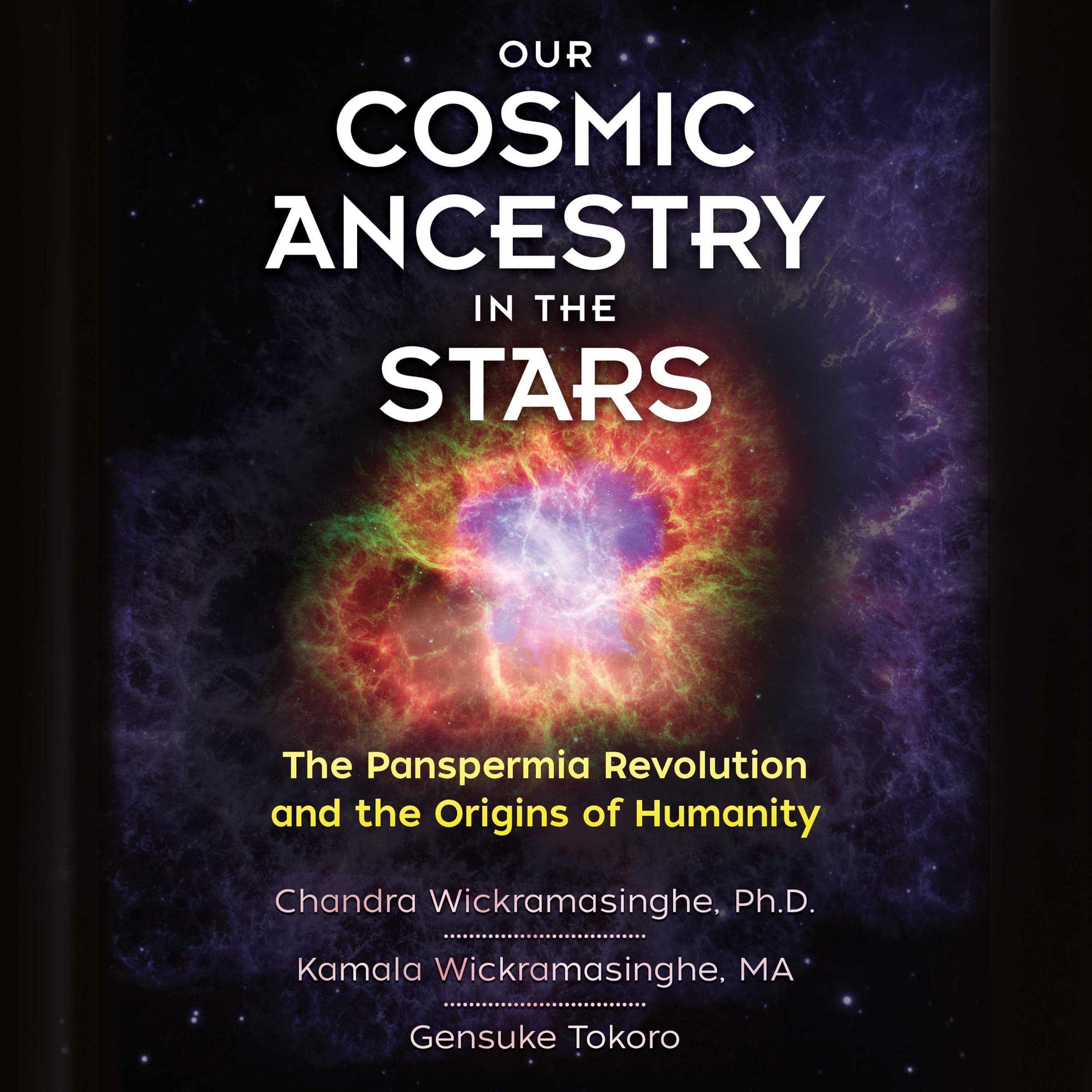Cover art for Our Cosmic Ancestry in the Stars
