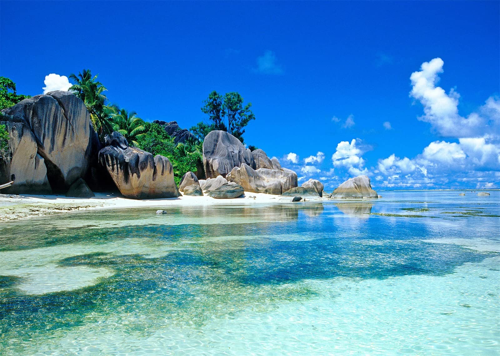 CORFOTO Tropical Rocky Beach Backdrop Seychelles Island Seascape Stones Palmtree Summer Vacation Photography Background for Adult Girl Boy Artistic