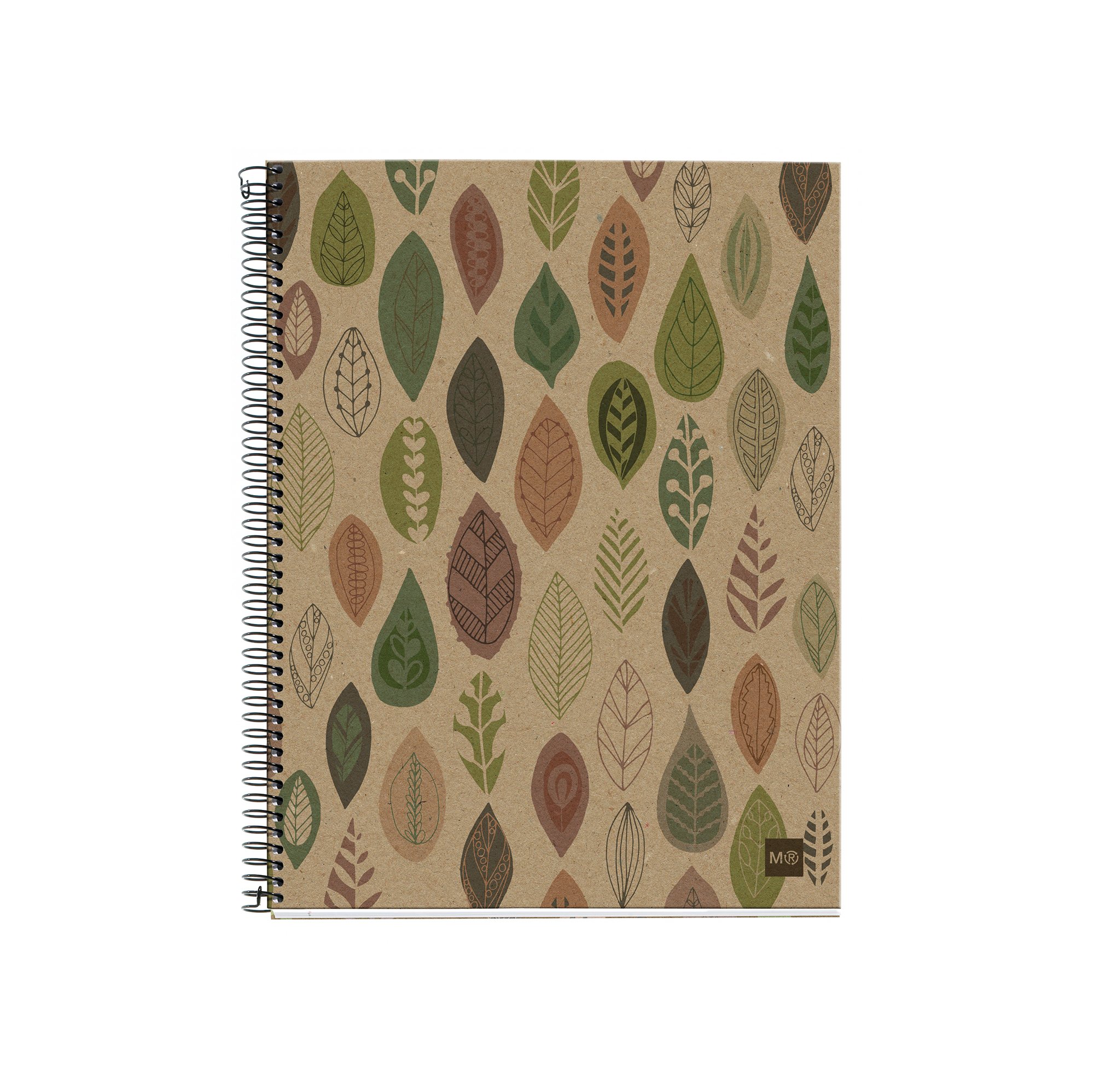 Miquelrius 2936 – Notebook 4 Recycled Cardboard ecojohas M (DIN A5, 148 x 210 mm, 120 Sheets, 80 g/m², Hatching)