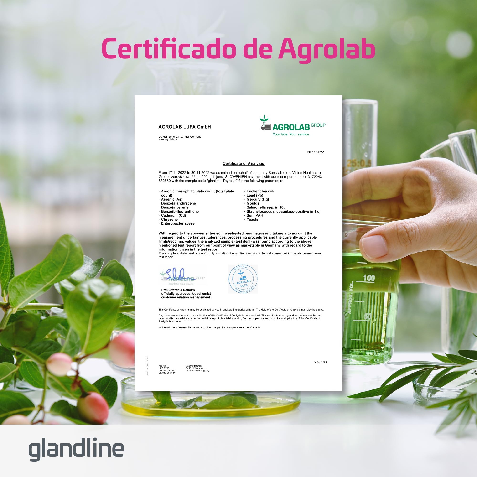 Selenio, Magnesio, Yodo, Zinc, L-Tirosina, Manganeso - Cápsulas de Tiroides - Natural, Sin Hormonas - 120 Cápsulas Vegetales para 2 Meses - ThyroLux de Sensilab