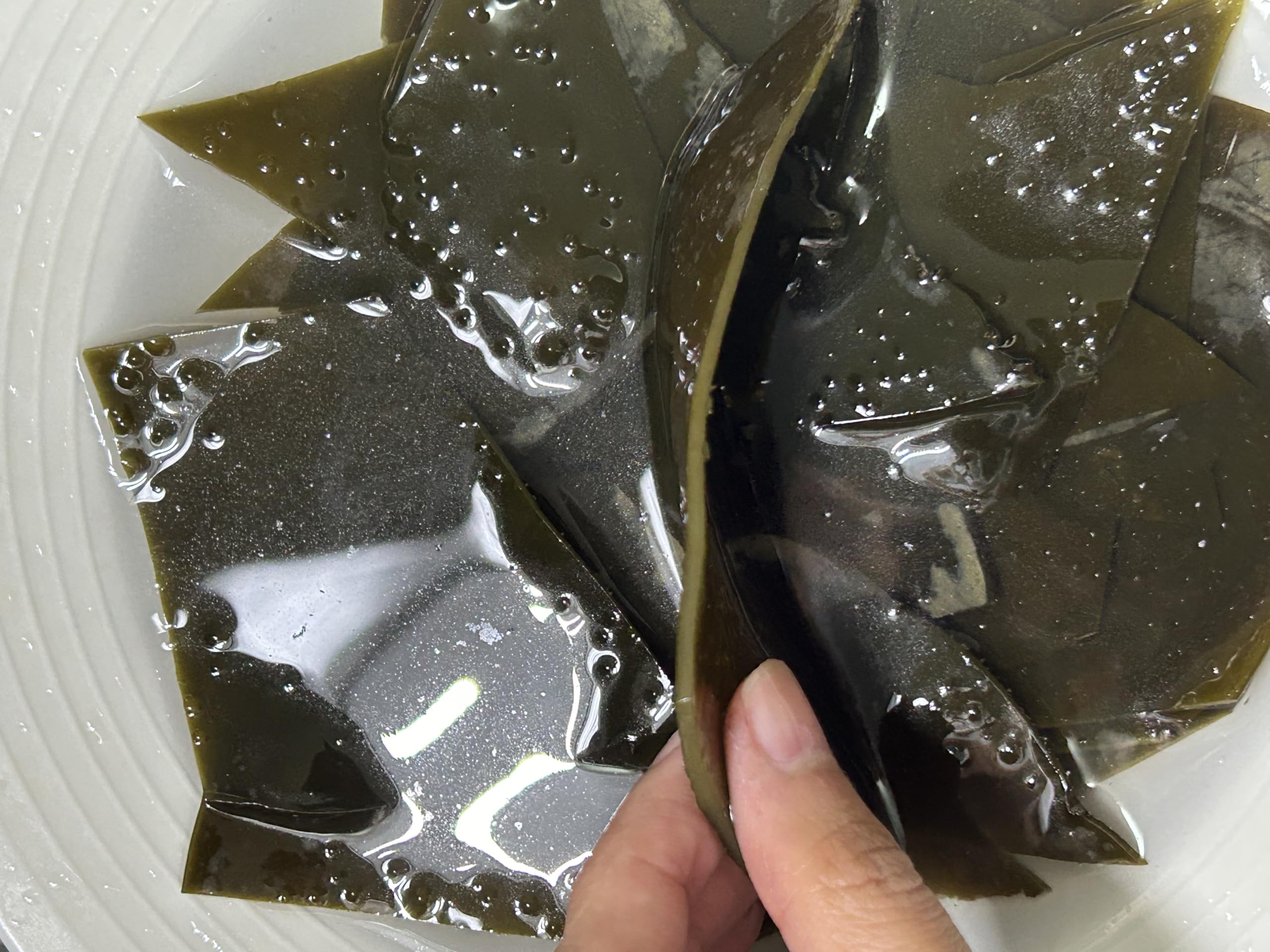 500g essiccato macchina per il foglio di Laminaria essiccato alga del mare del sacchetto
