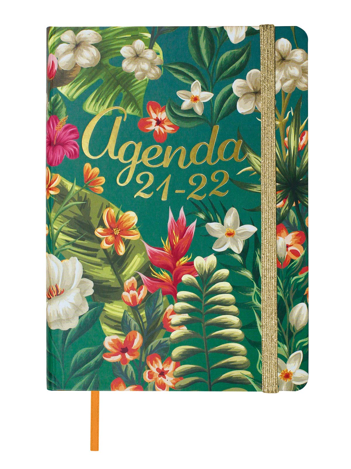 Finocam 2021 2022 1 Day Page Diary September 2021 August 2022 12 Months M4 118 x 168 Natural Tropical Spanish