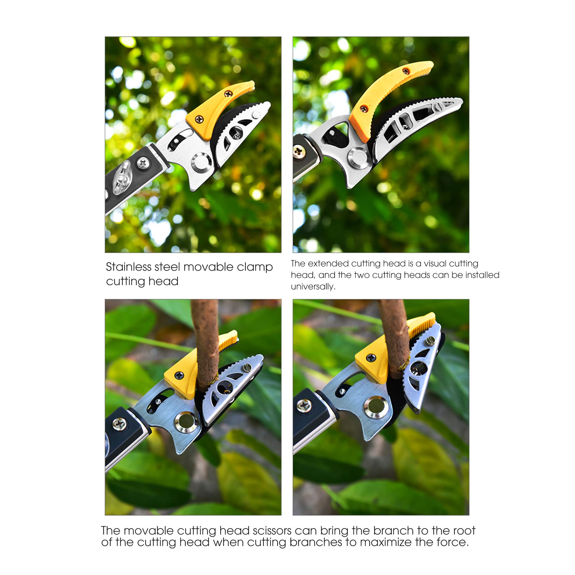 Herramienta de recogida de frutas de mango largo, tijeras telescópicas para podar árboles para ramas de cosecha de huertos
