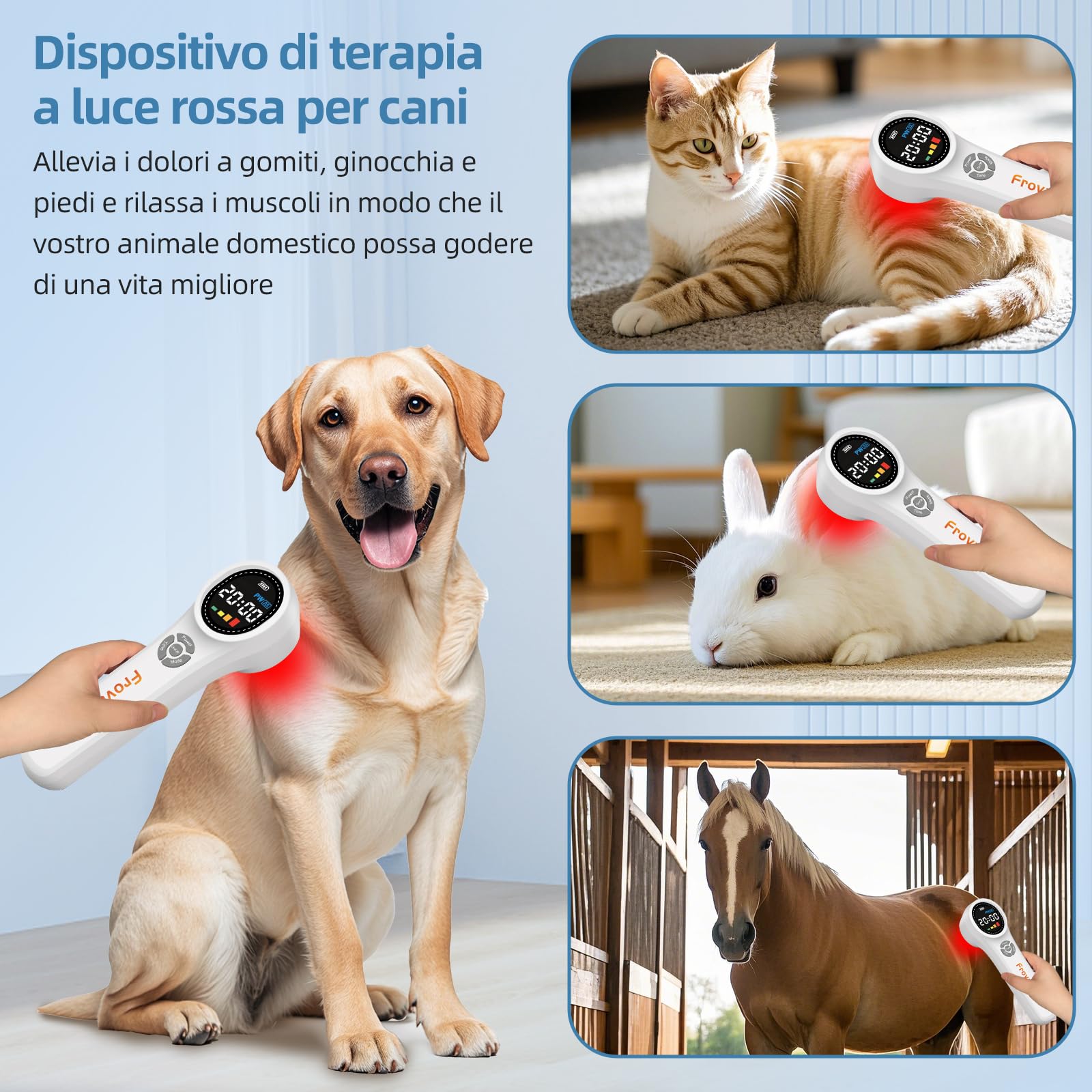 Dispositivo di Terapia Della 4pc 980nm e 4pc 810nm e 16pc 660nm Terapia Palmare con Luce Rossa Fredda per Alleviare Il Dolore a Casa Terapia Della Rossa per i Muscoli Schiena Ginocchio
