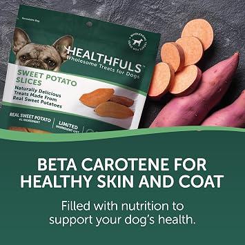 HEALTHFULS Real Dried Sweet Potato Slices, Grain Free Dog Treats, 16 oz