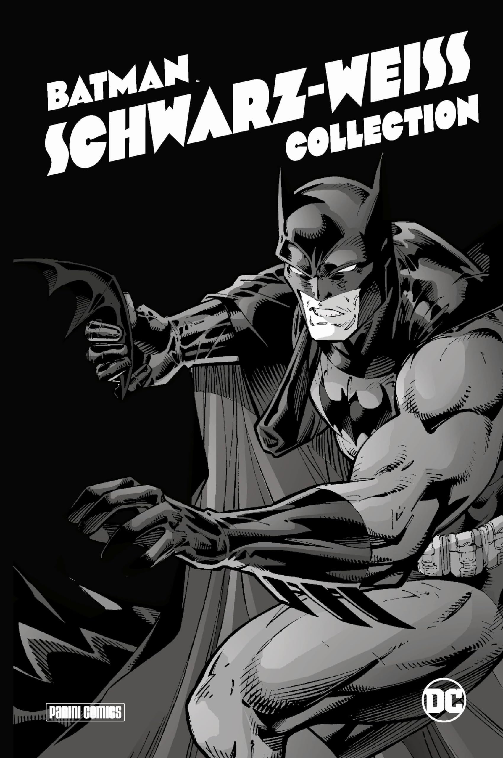 Batman: Schwarz-Weiß Collection (Deluxe Edition): Ausgezeichnet mit dem Eisner-Award