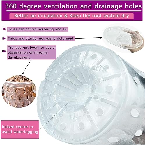 Miniatura 3 de Paquete de 6 macetas de orquídeas transparentes, macetas de plástico de 4.8 pulgadas, 5.6 pulgadas y 7 pulgadas con agujeros y platillos, macetas de