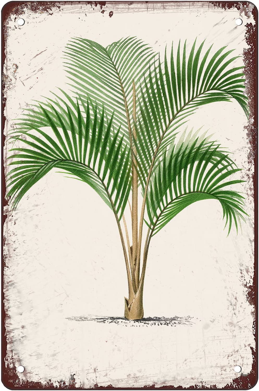Kwqdozf As Pic Vintage Metal Tin Sign Palm Tree Wall Art For Home Kitchen, 8X12 Inch