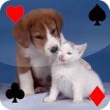 Baby Animal Solitaire